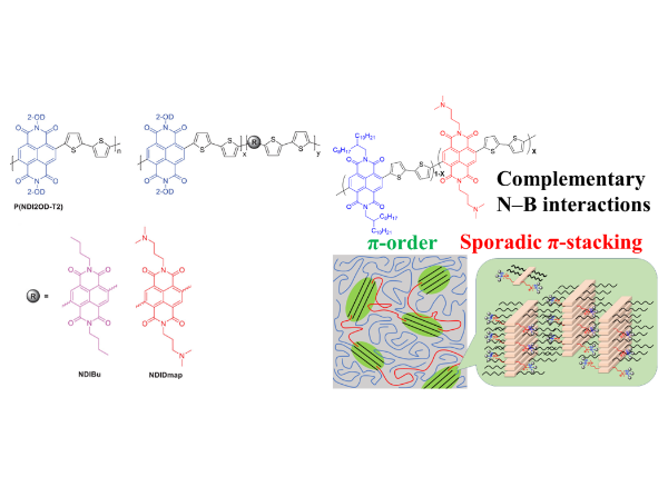 劉子綸、賴育英*: Investigating the Effect of Incorporating Dimethylaminopropyl Side Chains into a Naphthalenediimide-Based Conjugated Polymer, Advanced Electronic Materials, 2024, 2400610 (11 October 2024)