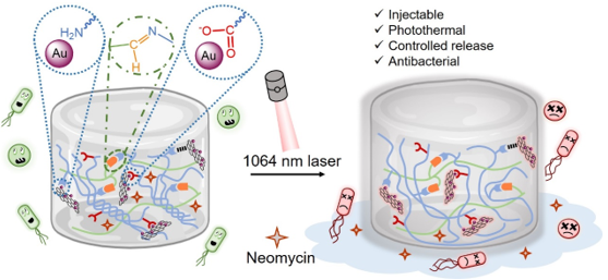 陳喜兒、顏辰潔、葉伊純*：Fabrication of NIR II-responsive polydextran aldehyde/gelatin/gold nanoparticle-decorated graphene oxide nanocomposite hydrogels for antibacterial applications, ACS Appl. Polym. Mater., 2024, 6, 7340-7356.