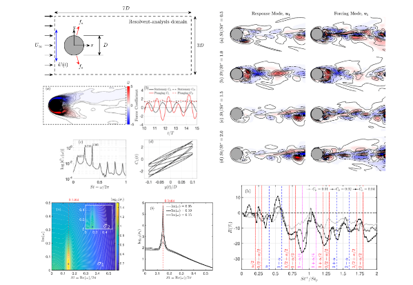 林靜得、蔡旻霖、蔡協澄*：Flow control of a plunging cylinder based on resolvent analysis. Journal of Fluid Mechanics, vol. 967, A41 (June 2023).