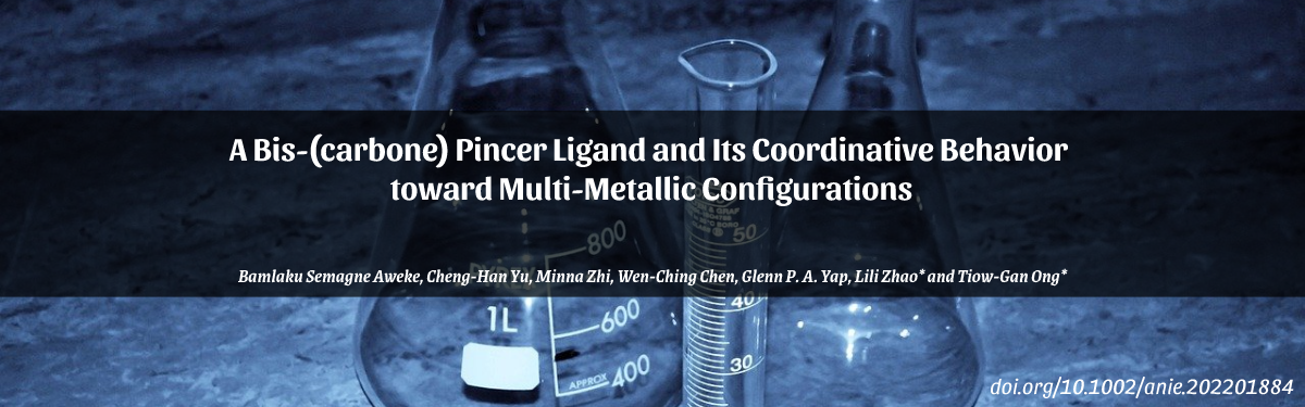 A Bis-(carbone) Pincer Ligand and Its Coordinative Behavior toward Multi-Metallic Configurations