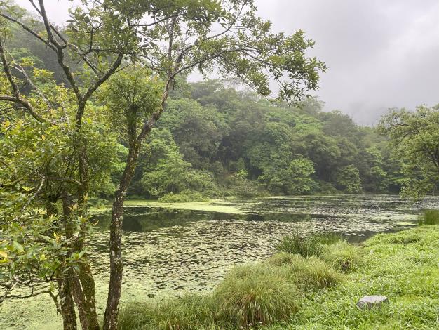 Fushan Botanical Garden