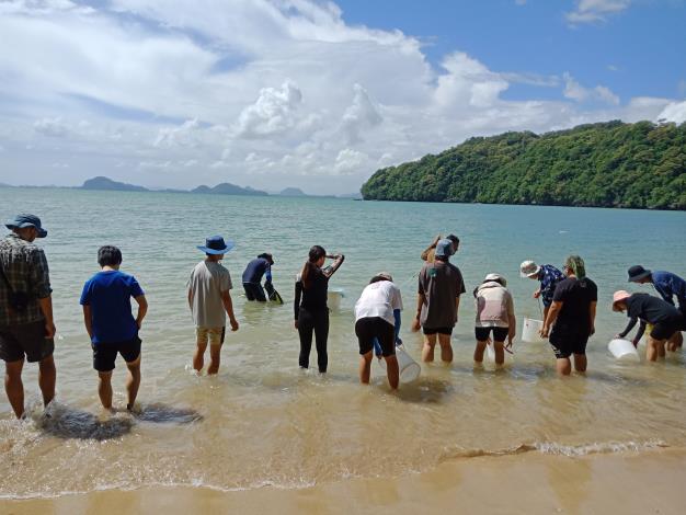 Experiment on catching fish using fishing nets