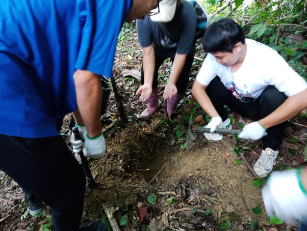 Reptile Trapping Experiment