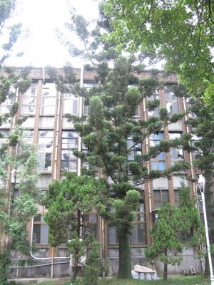 森林館 (2).JPG