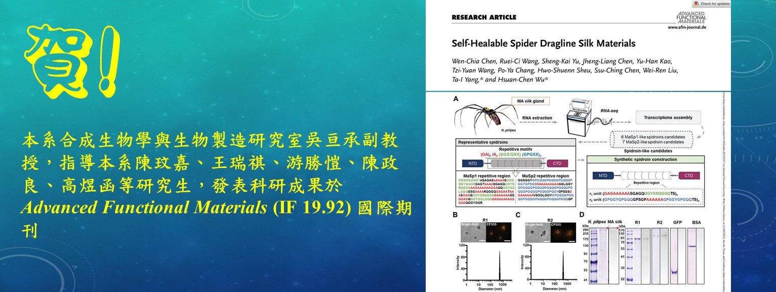 [Honors] Congratulations! Associate Professor Hsuan-Chen Wu, supervised graduate students and published scientific research results in Advanced Functional Materials ( IF 19.92)