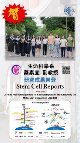 Life Science - Research of Assoc. Prof. Su-Yi Tsai Published in Stem Cell Reports