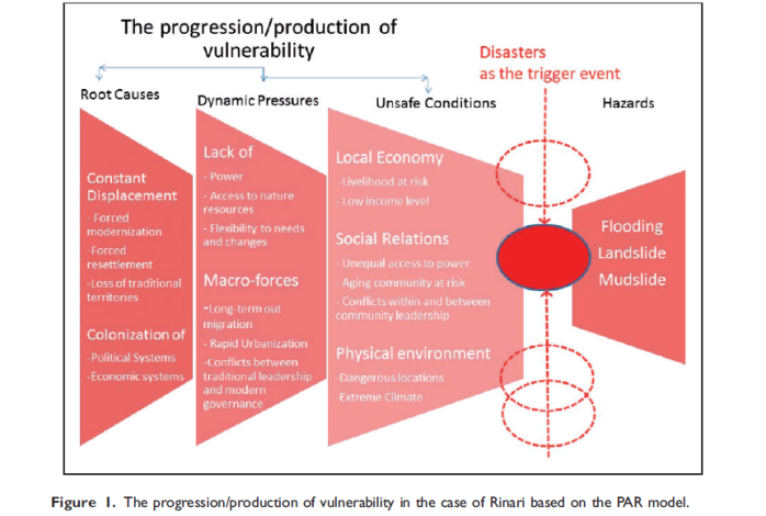 The progression_production of vulnerability in the case of Rinari based on the PAR model