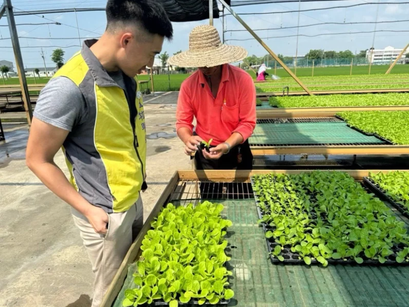 雲林植物醫師掛號免費、預約踴躍 褒忠鄉推預約服務