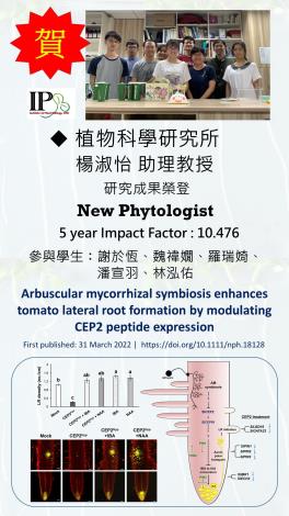 植科所楊淑怡老師研究成果榮登New Phytologist