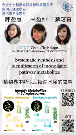 林盈仲老師研究成果榮登New Phytologist