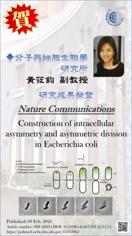 分子與細胞生物學研究所黃筱鈞副教授研究成果榮登Nature Communications