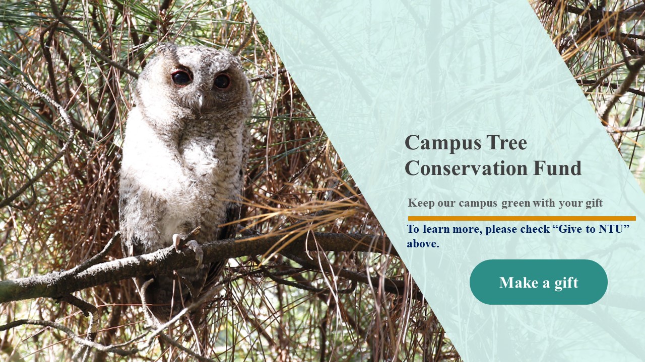 Make a Gift - Campus Tree  Conservation Fund