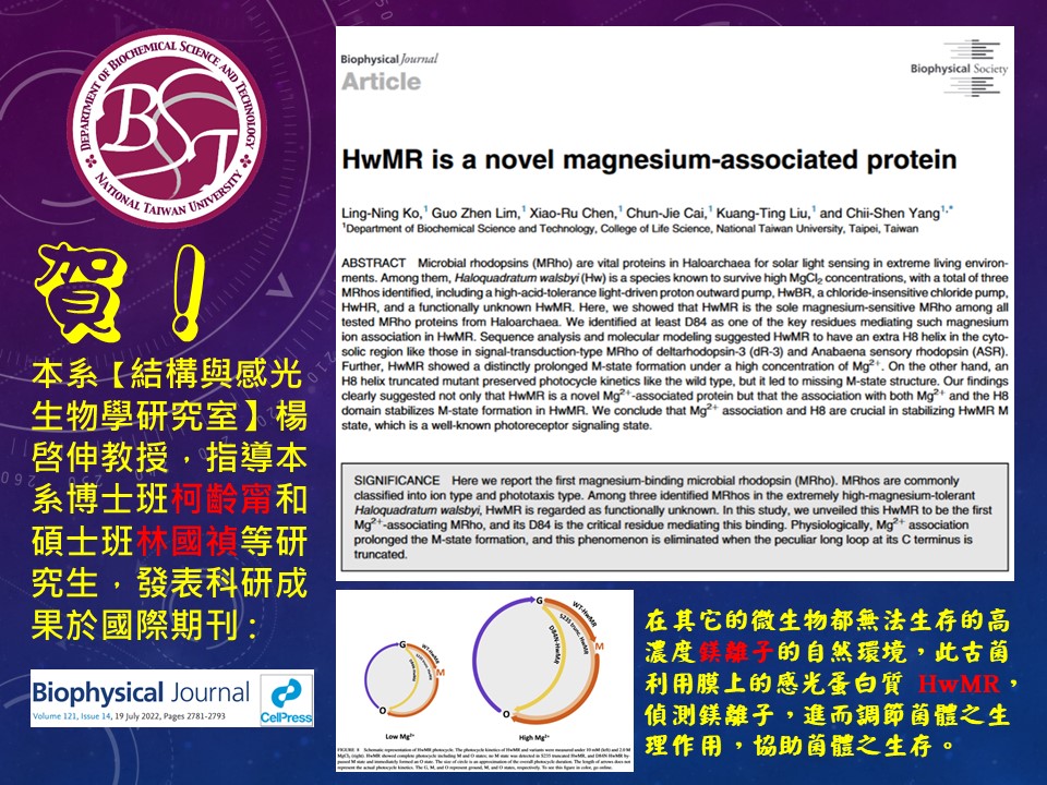 賀! 本系【結構與感光生物學研究室】楊啓伸教授，指導本系博士班柯齡甯和碩士班林國禎等研究生，發表科研成果於國際期刊 Biophysical Journal