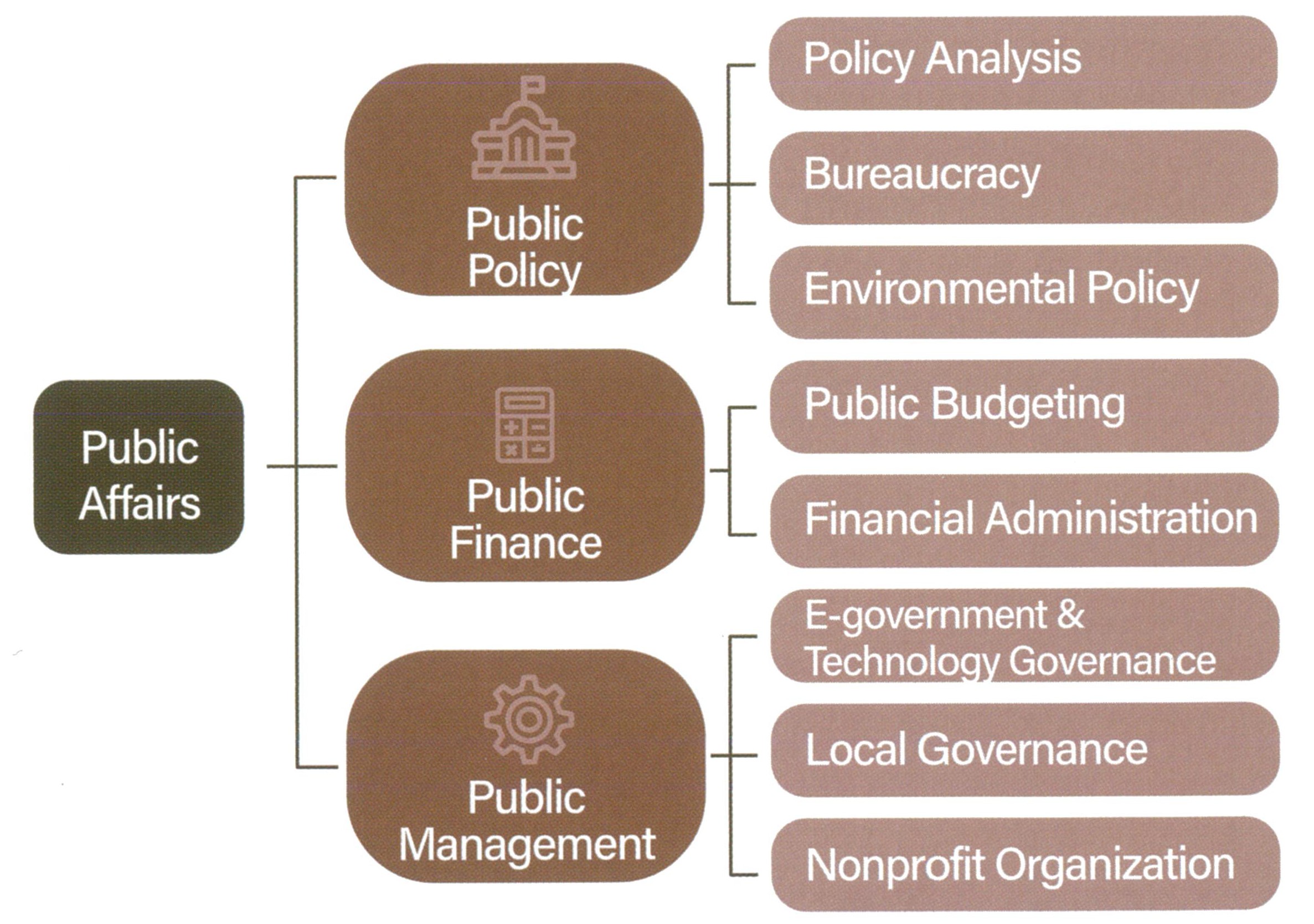 Research Areas