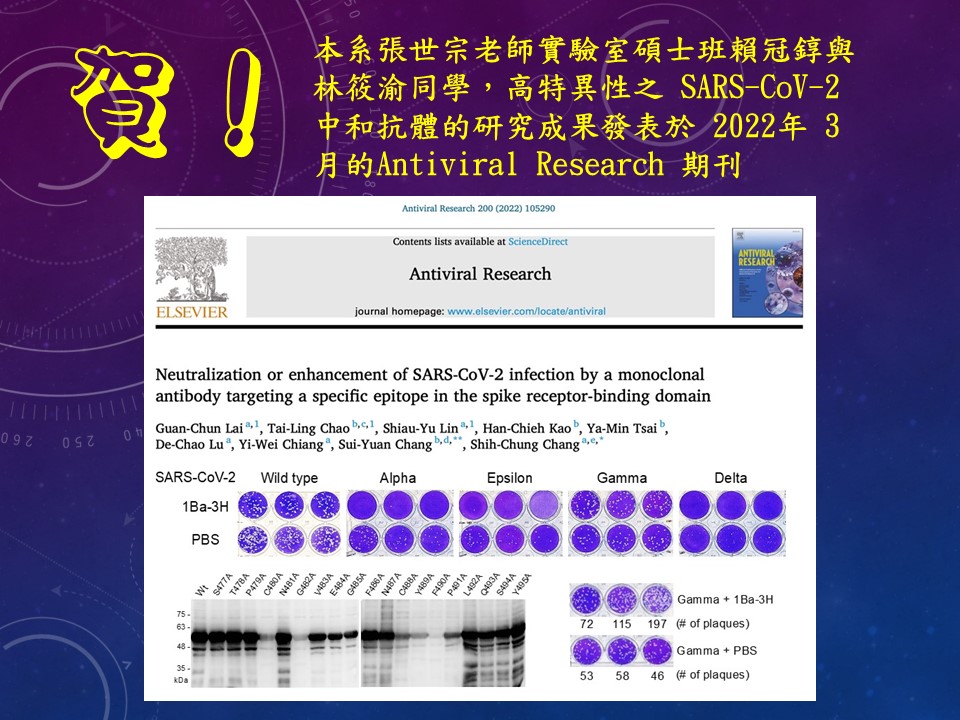 張世宗老師實驗室碩士班賴冠錞與林筱渝同學 高特異性之SARS-CoV-2中和抗體的研究成果發表於2022年3月的Antiviral Research期刊。
